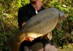 Doln� Kub�n boilies Tandem Baits