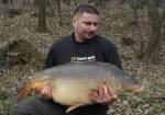Kapor 19,8kg - 4 Kapor 19,8kg - 4