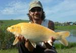 Bal�sz ryby 2