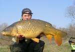 kuku kapor 10_6kg kuku kapor 10_6kg