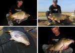 Tandem baits na pretekoch - boj o medaile 52 hodinov� boilies pretek