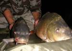 Pekn� kaprie duo 8.2011 pavlas zemn�k