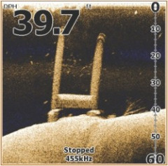 Ryby pri bet�nov�ch pilieroch