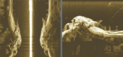 ukážka nahrávky sonar lowrance HDS z VN Orava - zatopené budovy ukážka nahrávky sonar lowrance HDS z VN Orava - zatopené budovy