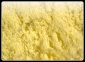 Maize Flour 1 kg
