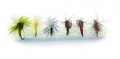 CL-FLYKIT-5 Fly Kit, rybrske muky,6ks, Mustad