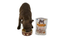 kukurica v n�leve s pr�chu�ou natural